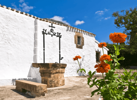 Courtyard houses in Salento ©www.irenemarchese.it